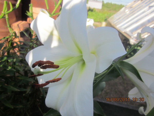 Людмила Захарова