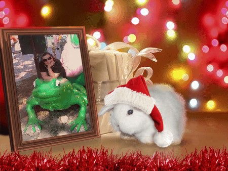 Ирина Дмитренко