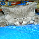 Елена Шумская