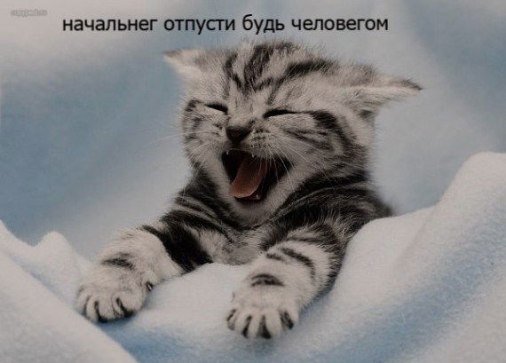 Ленка Пенка