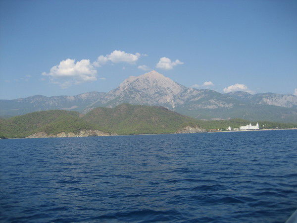 Елена Дайкович