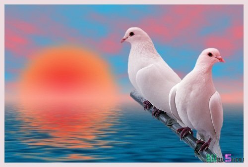 Татьяна Федорова