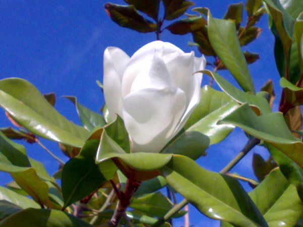 Татьяна Федорова