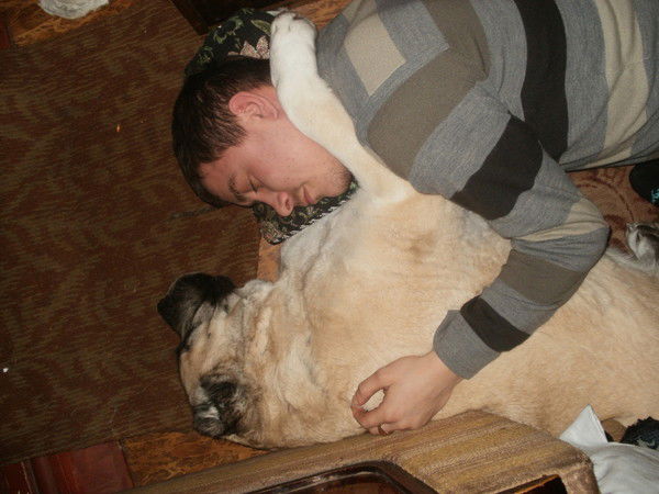 Артём Павлов