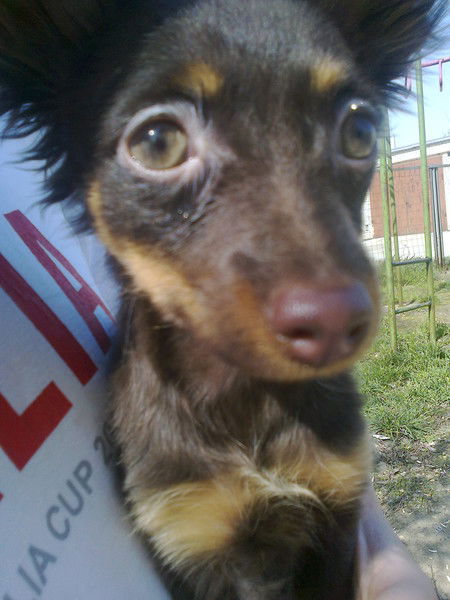 Владислав Новиков