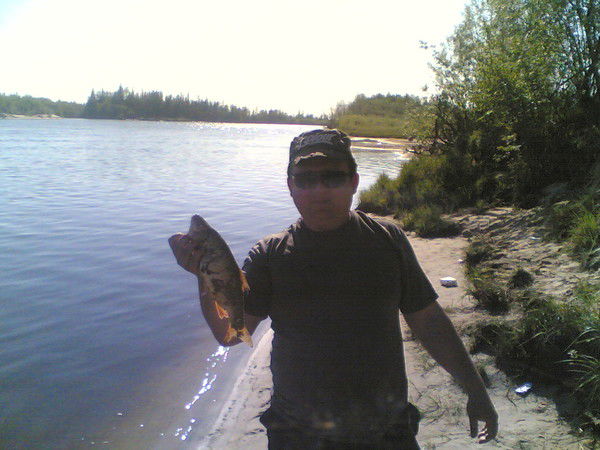 Дмитрий Сироткин