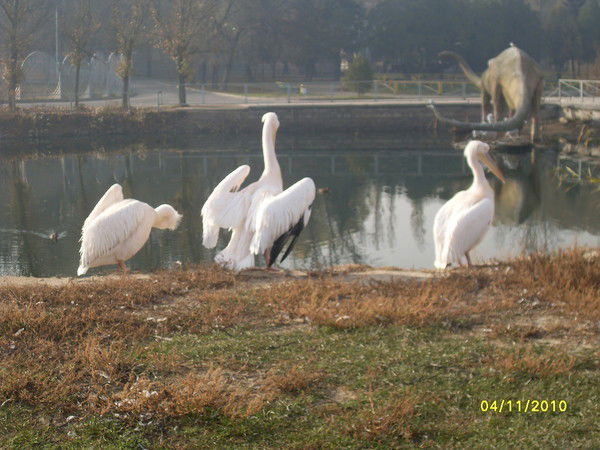 Неизвестно Неизвестно