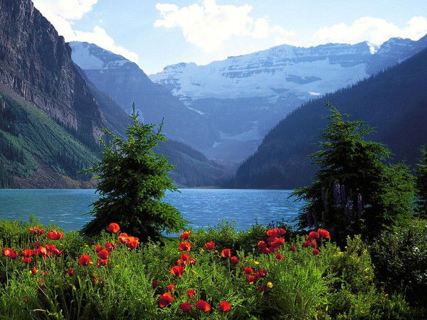 Облнаркодиспансер Гккп