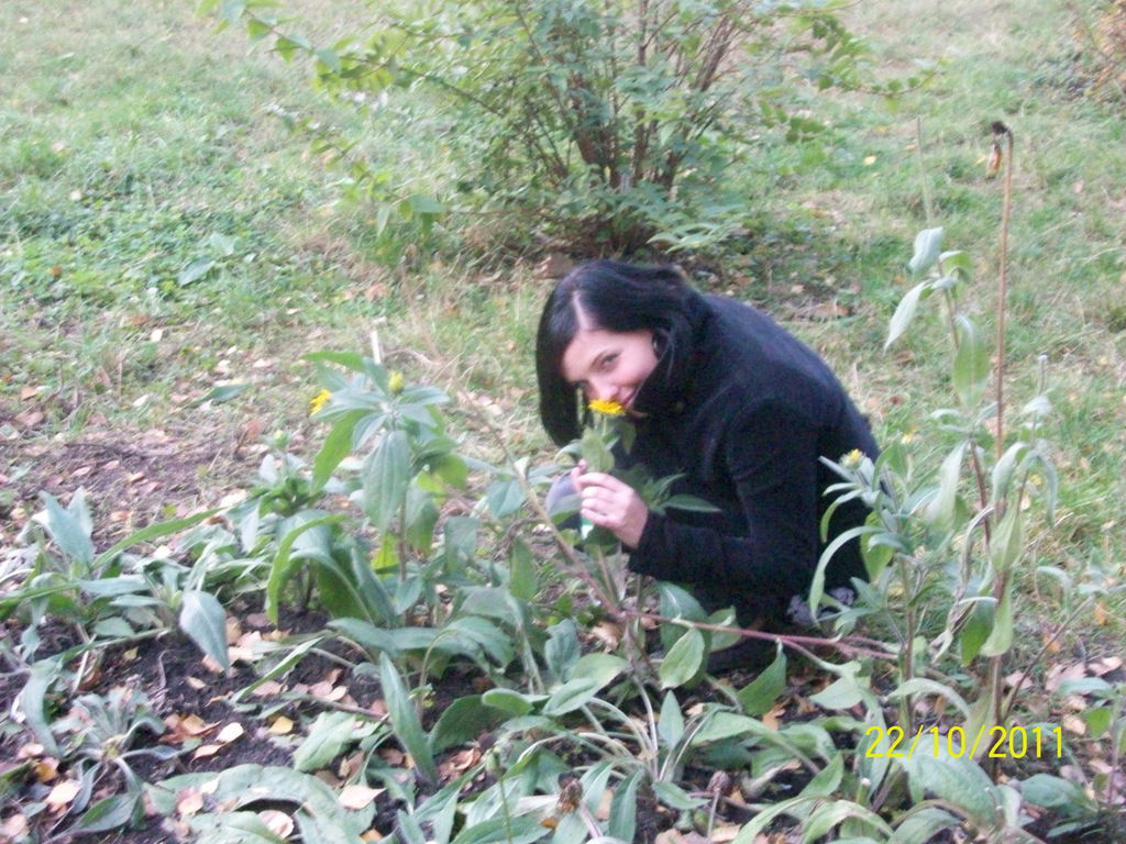 Елена Куколка