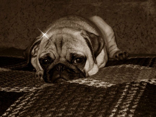 Алёна Кадыкова