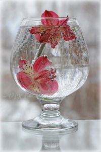 Эльмира Байдильдаева