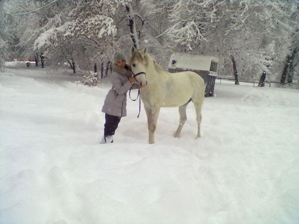 Алина Шегирова