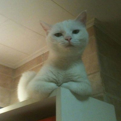 Юлия Алексеевна