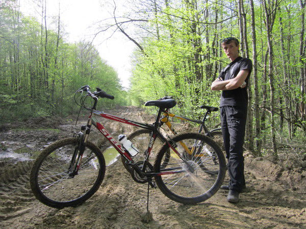 Сергей Павленко