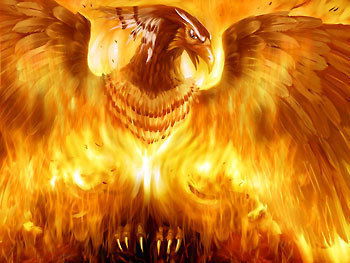 Ирина Некрасова