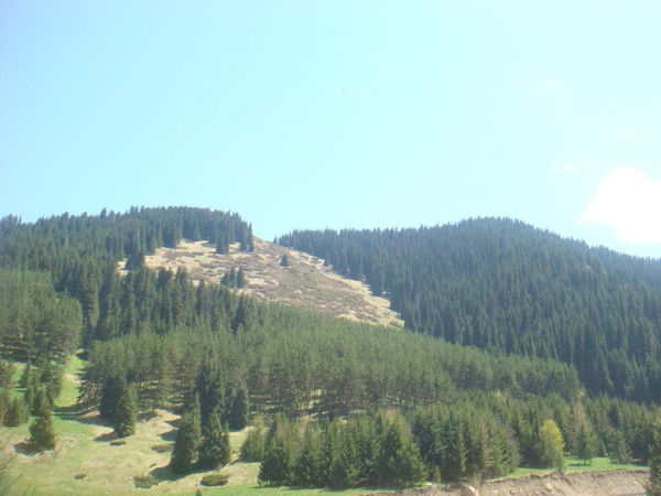 Асель Тураисова