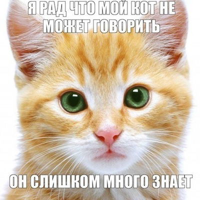 Роман Товмасян