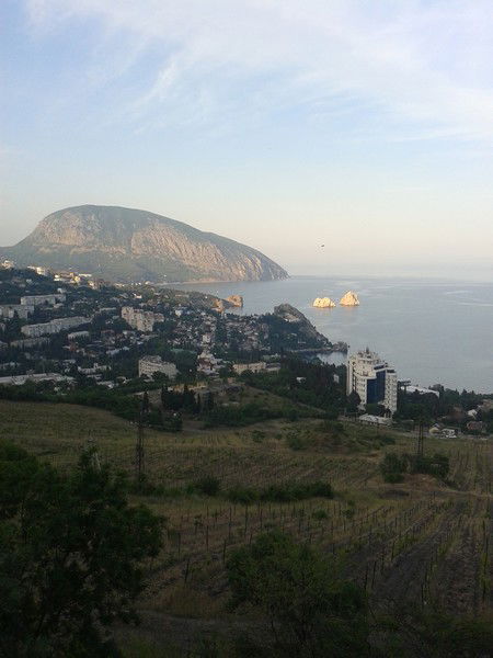 Ооо "мечта-2000"