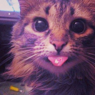 Артём Рошка