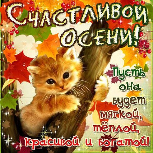 Светлана Сигиденко