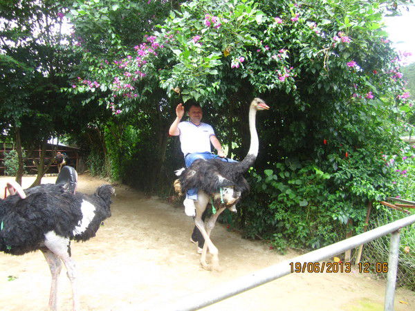 Павел Шилов