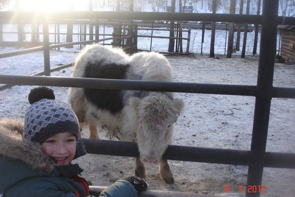 Даниил Данилов