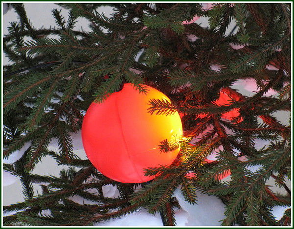 Надежда Савенкова