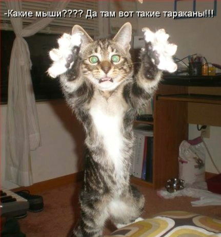 Ванюшка Ванечка