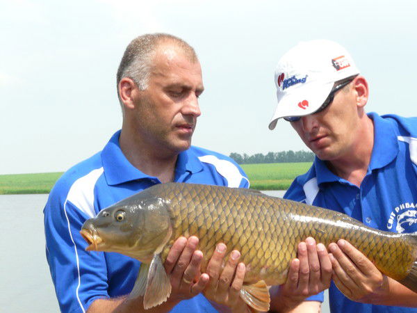 Геннадий Надточий