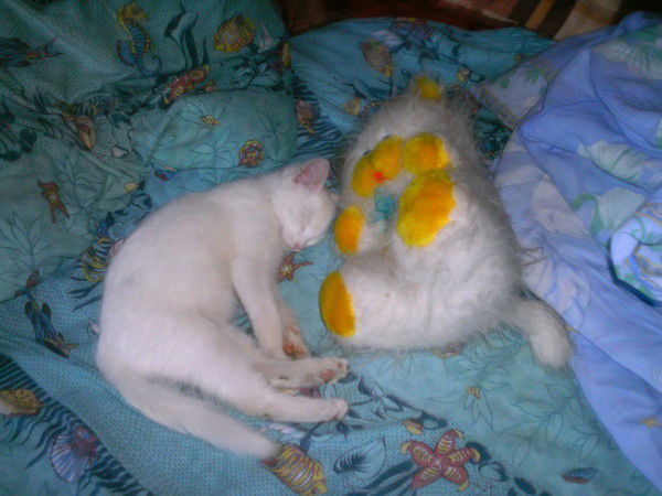 Галина Карнаухова