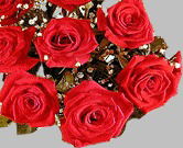 Оксана Дивакова