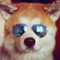 Вика Шишкина