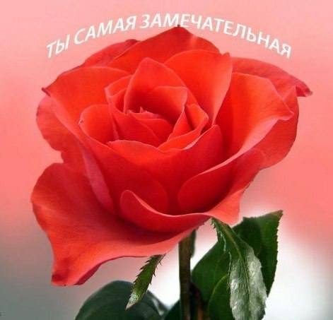 Татьяна Танюша