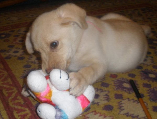 Валентина Гoловяк