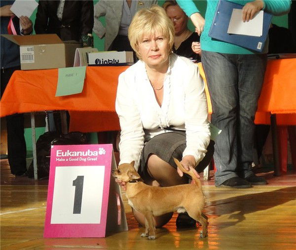 Елена Ефимович