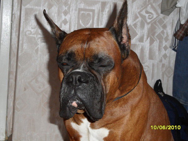 Антон Смотров