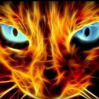 Данил Самсонов