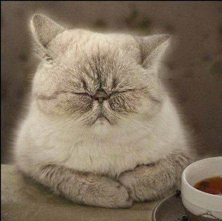 Юрий Прохоров