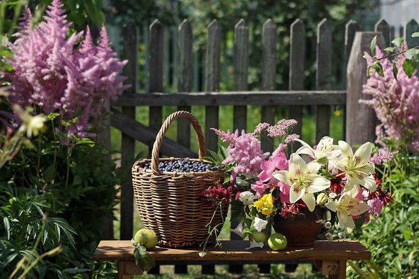 Татьяна Терехова