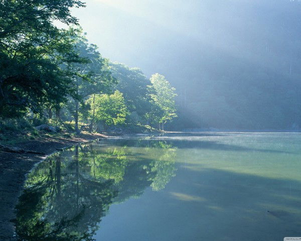 Анаргуль Токжигитова