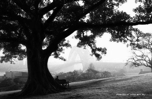 Юля Архипова