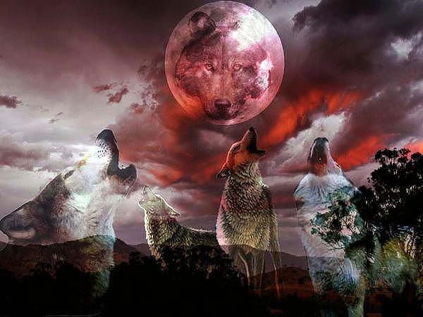 Сергей Шугаев