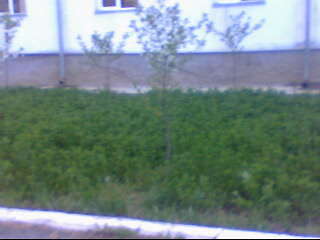 Замир Шамсутдинов