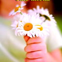 Мис Лидер Мис Лидер