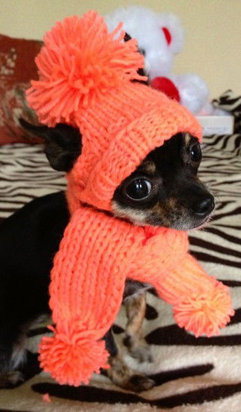 Светлана Литвинцева