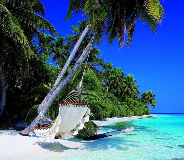 Ольга Матейкина