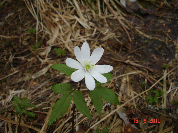 Татьяна Силукова