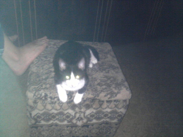 Роман Соловьев