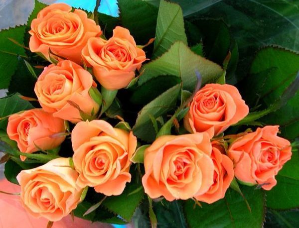 Ахметова Бибигуль