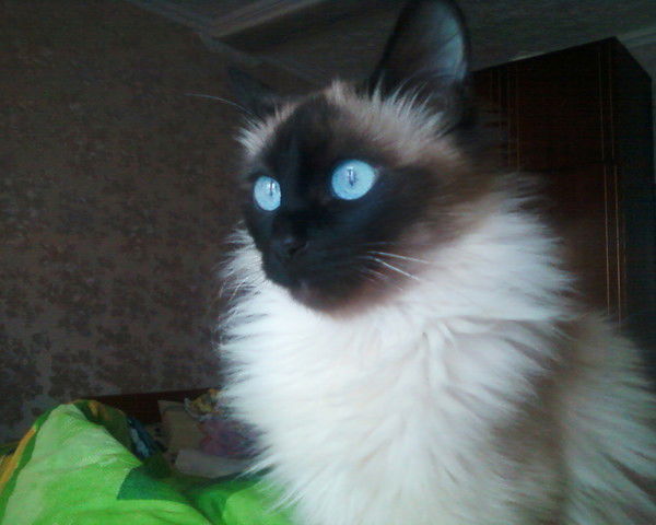 Наталья Тельчак